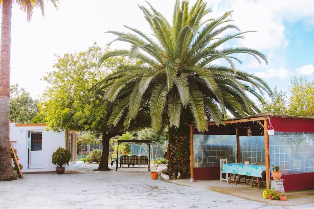Villa Casita Gopal Icod De Los Vinos Exterior foto